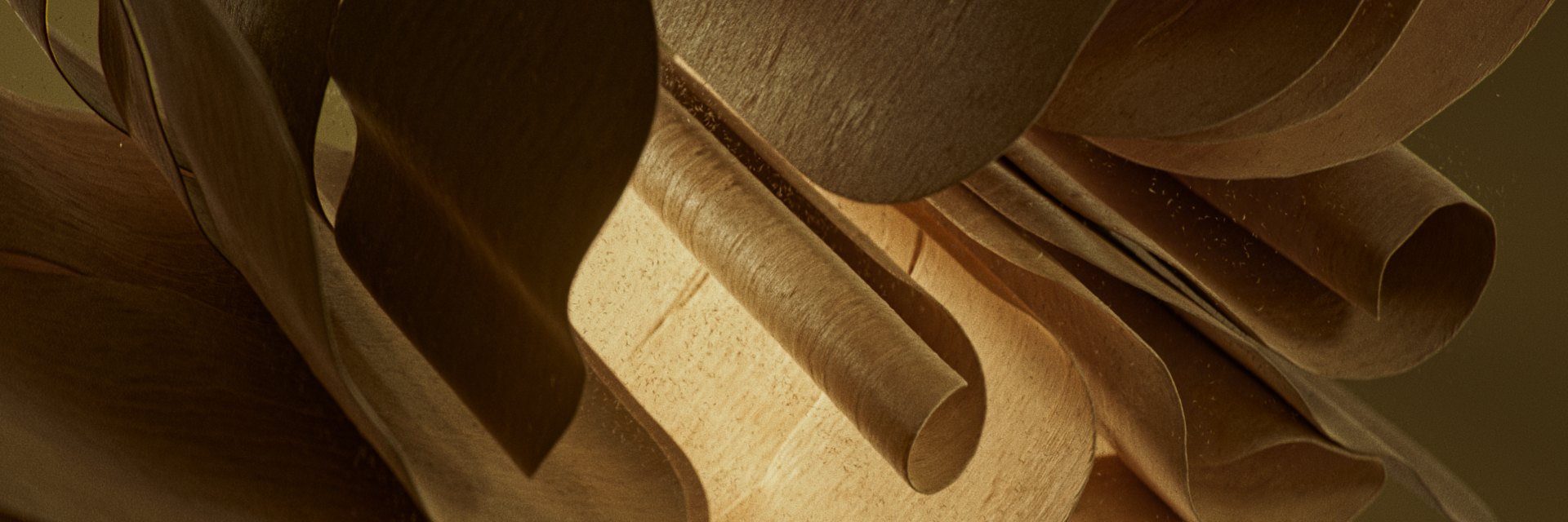 Arnis_Vitols_3x1_FINIERIS_002