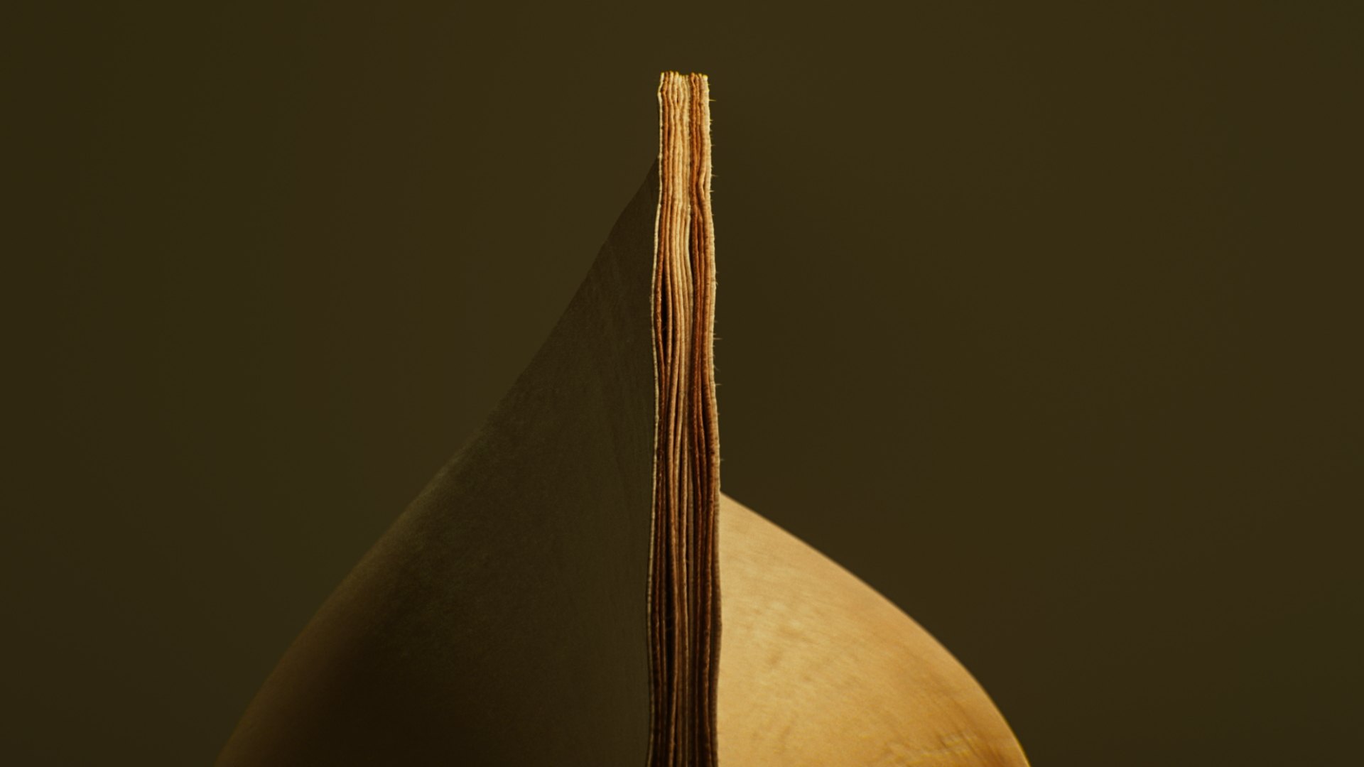 Arnis_Vitols_Finieris_0014