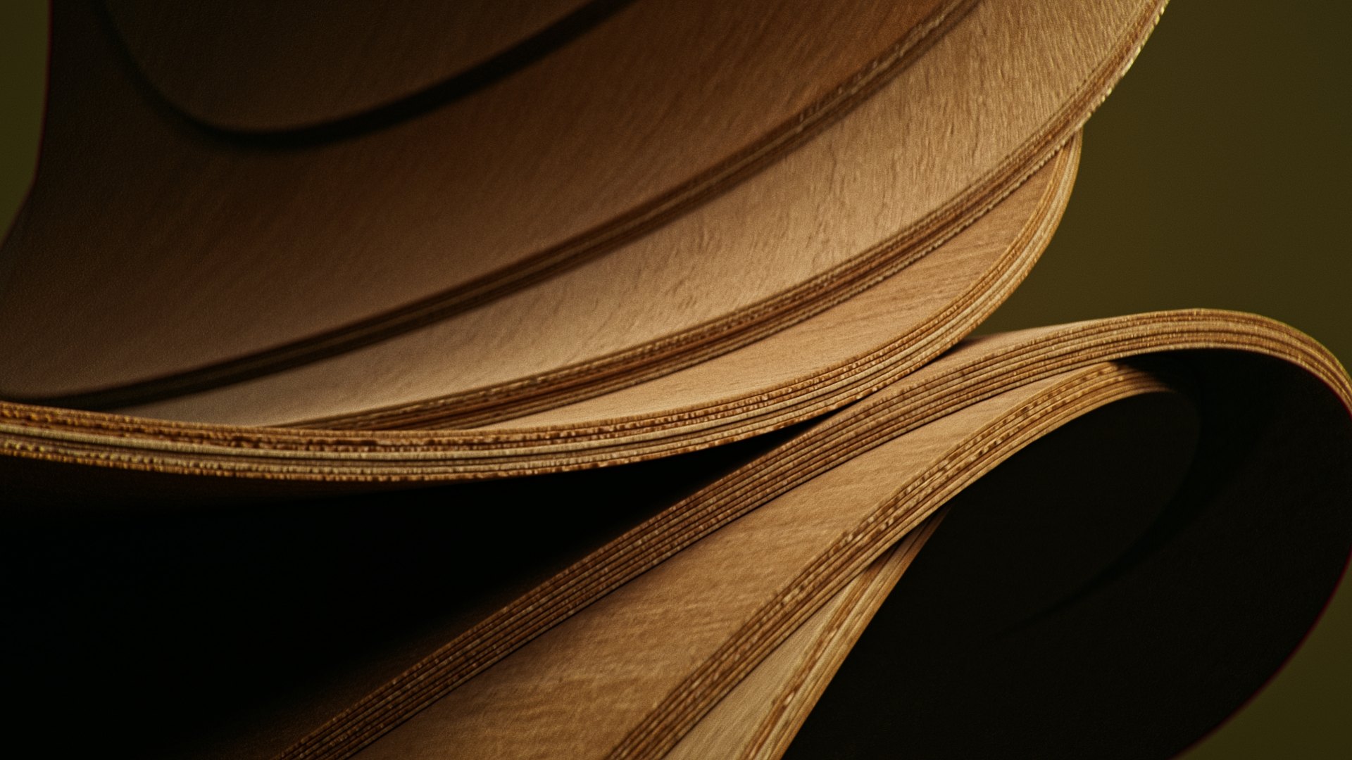 Arnis_Vitols_Finieris_0017