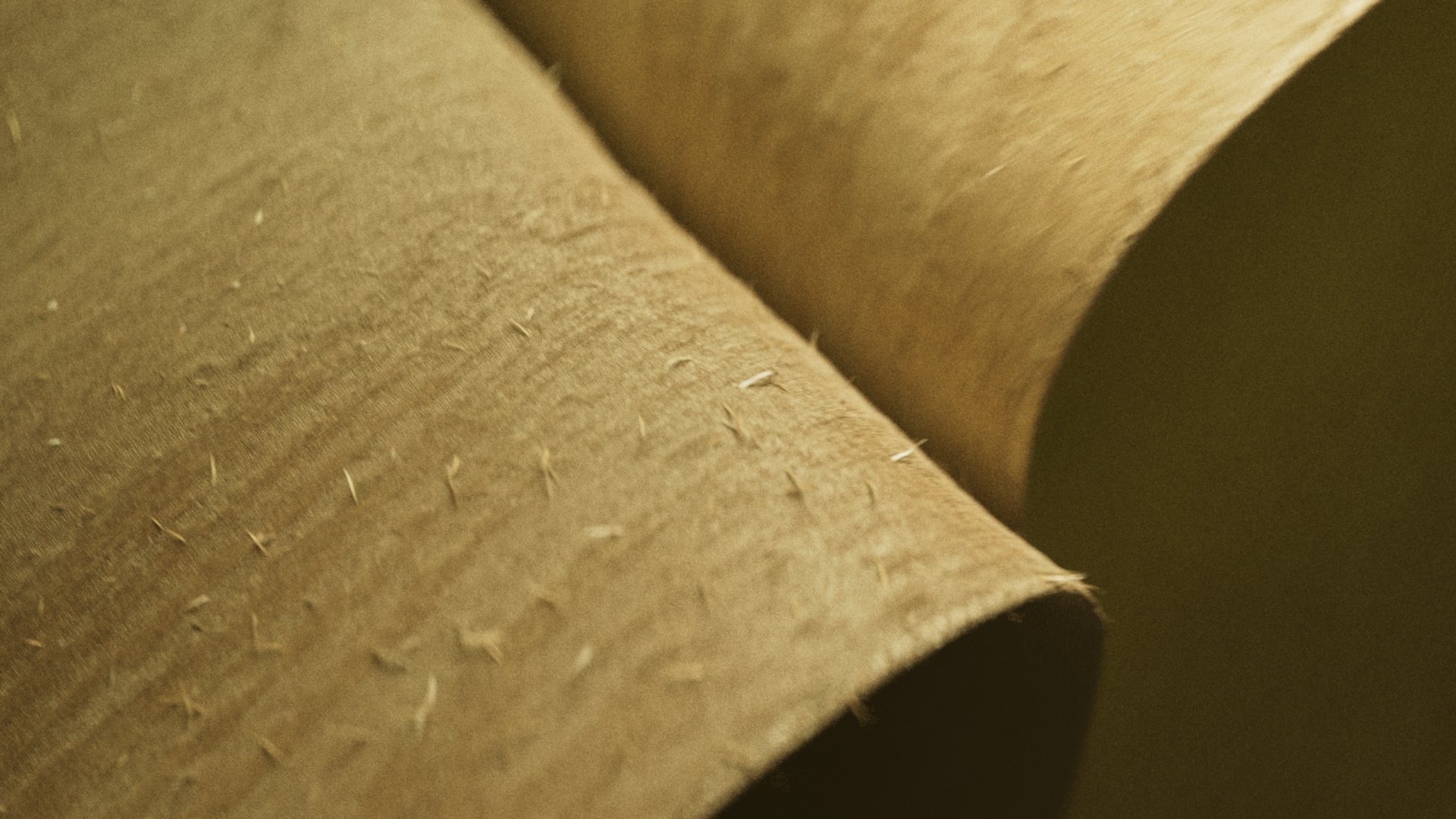 Arnis_Vitols_rnd_001